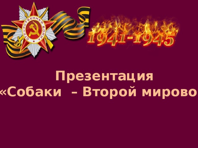 Презентация «Собаки – Второй мировой» 
