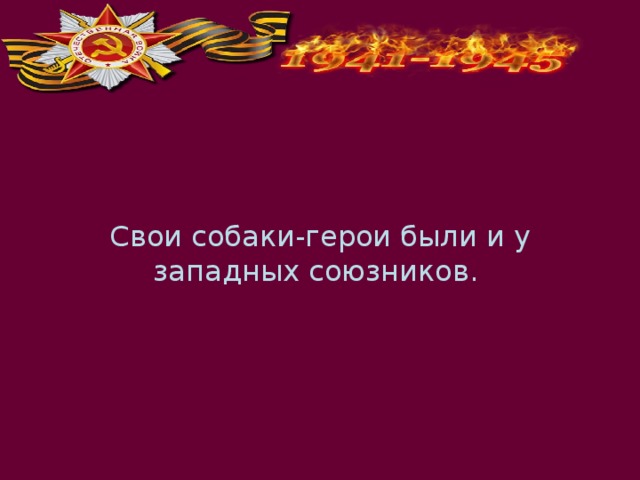 Свои собаки-герои были и у западных союзников. 