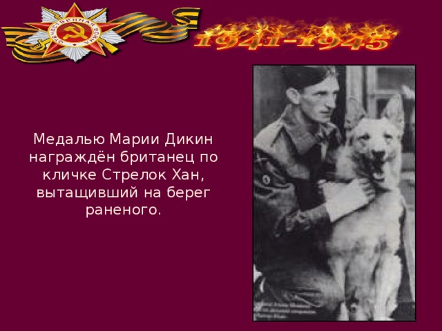 Медалью Марии Дикин награждён британец по кличке Стрелок Хан, вытащивший на берег раненого. 