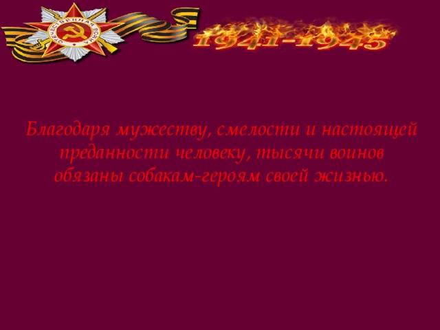 Благодаря мужеству, смелости и настоящей преданности человеку, тысячи воинов обязаны собакам-героям своей жизнью. 