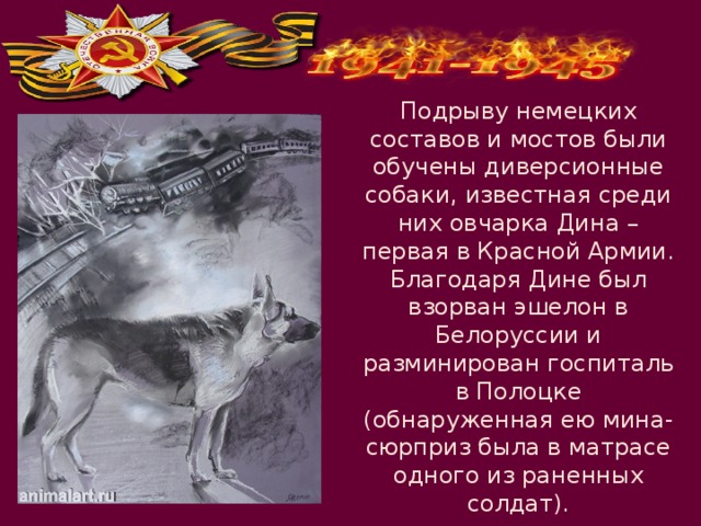 Подрыву немецких составов и мостов были обучены диверсионные собаки, известная среди них овчарка Дина – первая в Красной Армии. Благодаря Дине был взорван эшелон в Белоруссии и разминирован госпиталь в Полоцке (обнаруженная ею мина-сюрприз была в матрасе одного из раненных солдат). 