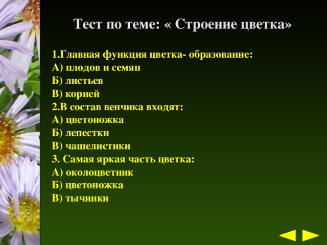 презентация выступления на школьной научной конференции
