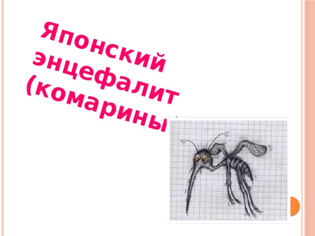 Японский энцефалит (комариный) 