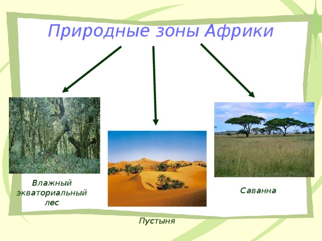 Природные зоны Африки Влажный экваториальный лес Саванна Пустыня 