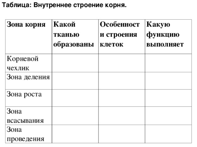 Внутри таблицы. Внутреннее строение корня 6 класс таблица биология. Строение корня таблица 6 класс биология. Внутреннее строение корня заполнить таблицу. Внутреннее строение корня таблица.