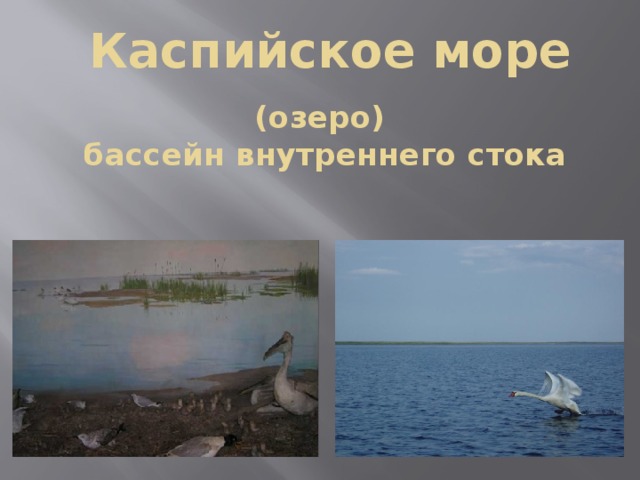 Бассейн каспийского моря