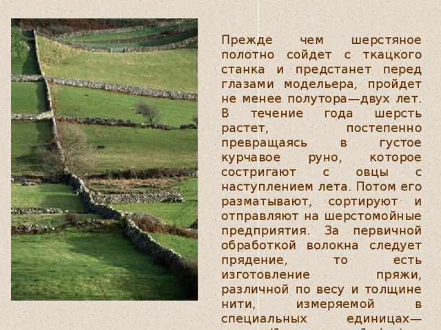 П режде  чем  шерстяное  полотно  сойдет  с  ткацкого  станка  и  предстанет  перед  глазами  модельера , пройдет  не  менее  полутора—двух  лет . В  течение  года  шерсть  растет , постепенно  превращаясь  в  густое  курчавое  руно , которое  состригают  с  овцы  с  наступлением  лета . Потом  его  разматывают , сортируют  и  отправляют  на  шерстомойные  предприятия . За  первичной  обработкой  волокна  следует  прядение , то  есть  изготовление  пряжи , различной  по  весу  и  толщине  нити , измеряемой  в  специальных  единицах—  тексах (1 текс  равен 1 г / км ).   