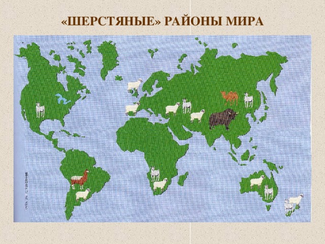 «ШЕРСТЯНЫЕ» РАЙОНЫ МИРА 