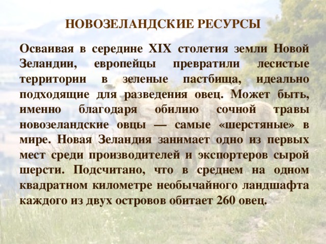 НОВОЗЕЛАНДСКИЕ РЕСУРСЫ Осваивая в середине XIX столетия земли Новой Зеландии, европейцы превратили лесистые территории в зеленые пастбища, идеально подходящие для разведения овец. Может быть, именно благодаря обилию сочной травы новозеландские овцы — самые «шерстяные» в мире. Новая Зеландия занимает одно из первых мест среди производителей и экспортеров сырой шерсти. Подсчитано, что в среднем на одном квадратном километре необычайного ландшафта каждого из двух островов обитает 260 овец. 