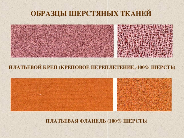 Презентация по технологии на тему "Шерсть"