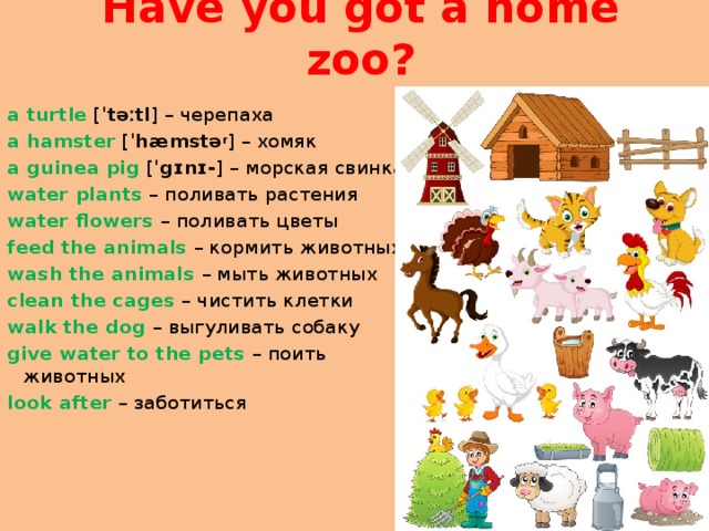 I must look after my pet 3 класс кузовлев презентация