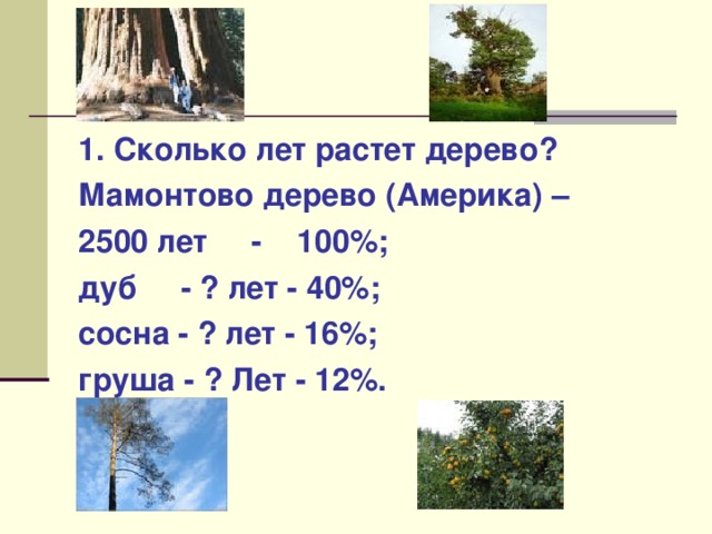 Дубы растут долго но вырастают мощными и высокими схема предложения