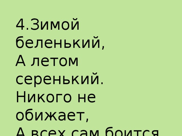 4.Зимой беленький,  А летом серенький.  Никого не обижает,  А всех сам боится. 