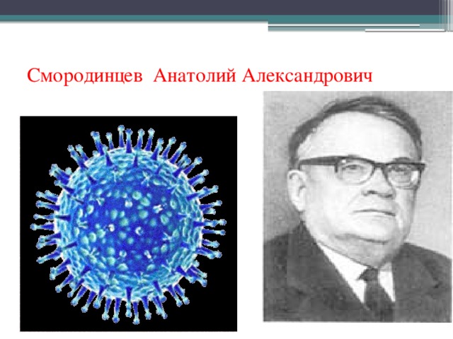 Смородинцев грипп. Смородинцев вклад в микробиологию.
