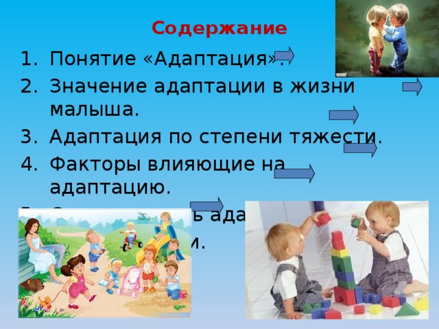Содержание понятия адаптация. Содержание понятия адаптация