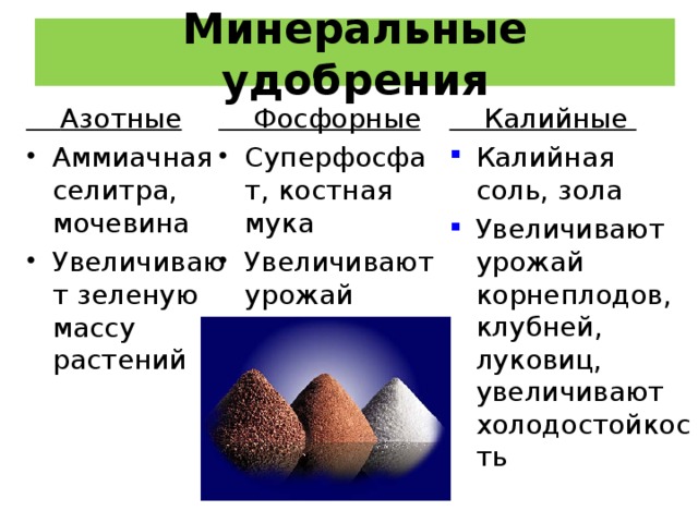 Минеральное питание растений и значение воды презентация 6 класс пономарева