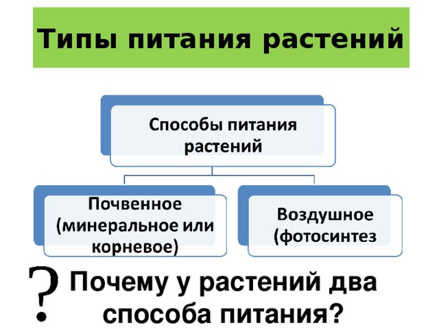 Какие способы питания