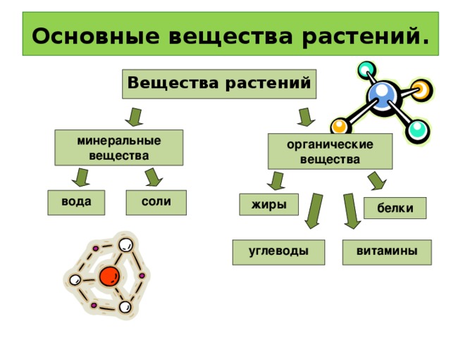 Вещества растений содержащие. Основные Минеральные вещества растений. Органические вещества растений. Неорганические вещества растений. Органические и неорганические вещества в растениях.