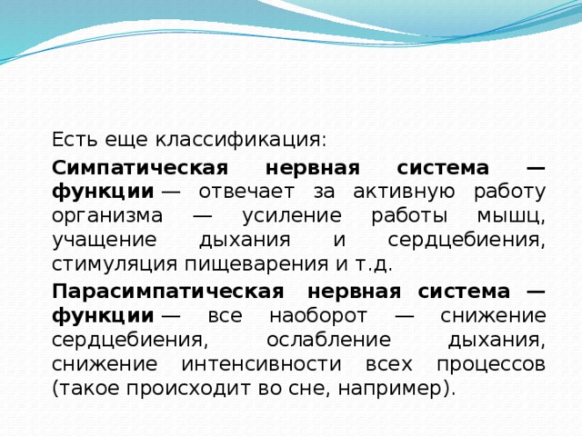  Есть еще классификация:  Симпатическая нервная система — функции  — отвечает за активную работу организма — усиление работы мышц, учащение дыхания и сердцебиения, стимуляция пищеварения и т.д.  Парасимпатическая  нервная система — функции  — все наоборот — снижение сердцебиения, ослабление дыхания, снижение интенсивности всех процессов (такое происходит во сне, например). 