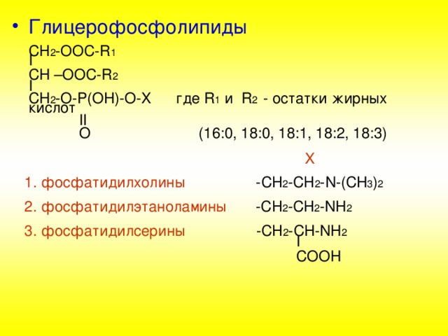 Глицерофосфолипиды  СН 2 -ООС- R 1    I  CH –OOC-R 2   I  CH 2 -O - P(OH)-O-X где R 1  и R 2 - остатки жирных кислот  II  O (16:0, 18:0, 18:1, 18:2, 18:3)    X   1 . фосфатидилхолины -СН 2 -СН 2 - N-(CH 3 ) 2  2. фосфатидилэтаноламины -СН 2 -СН 2 - NH 2  3. фосфатидилсерины -СН 2 -СН- NH 2  I  COOH 