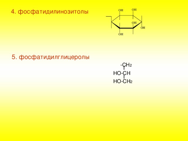  4. фосфатидилинозитолы  5. фосфатидилглицеролы  -СН 2   I   НО- CH   I   НО- CH 2  