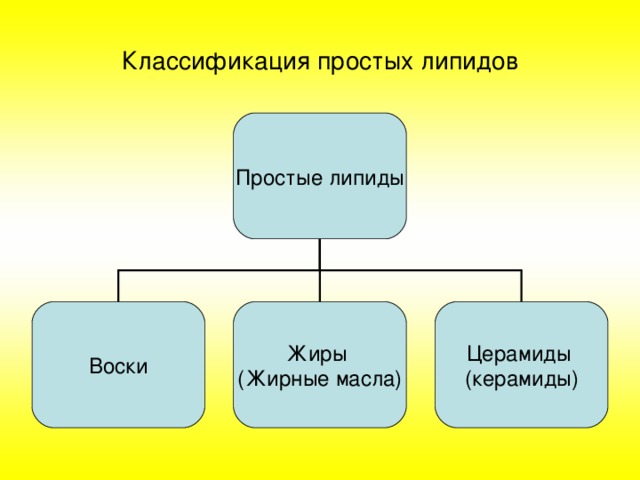 Классификация простых липидов Простые липиды Воски Жиры (Жирные масла) Церамиды (керамиды) 