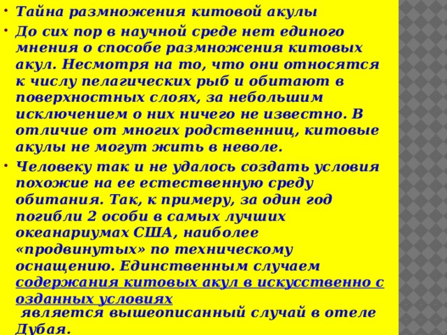 Тайна размножения китовой акулы До сих пор в научной среде нет единого мнения о способе размножения китовых акул. Несмотря на то, что они относятся к числу пелагических рыб и обитают в поверхностных слоях, за небольшим исключением о них ничего не известно. В отличие от многих родственниц, китовые акулы не могут жить в неволе. Человеку так и не удалось создать условия похожие на ее естественную среду обитания. Так, к примеру, за один год погибли 2 особи в самых лучших океанариумах США, наиболее «продвинутых» по техническому оснащению. Единственным случаем содержания китовых акул в искусственно созданных условиях является вышеописанный случай в отеле Дубая.  