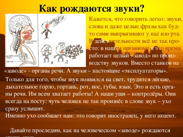 Как рождаются звуки? Кажется, что говорить легко: звуки, слова и даже целые фразы как буд- то сами выпрыгивают у нас изо рта. В  дейст вительности всё не так про- сто: в наш ем организме в э то время работает целый «завод» по произ- водству звуков. Вместо станков на «заводе» - органы речи. А звуки – настоящие «эксплуататоры». Только для того, чтобы звук появился на свет, трудятся лёгкие, дыхательное горло, гортань, рот, нос, губы, язык. Это и есть орга- ны речи. Им всем хватает работы! А наши уши – контролёры. Они всегда на посту: чуть человек не так произнёс в слове звук – ухо сразу услышит. Именно ухо сообщает нам: это говорит иностранец, у него акцент.  Давайте проследим, как на человеческом «заводе» рождаются звуки. звук. 