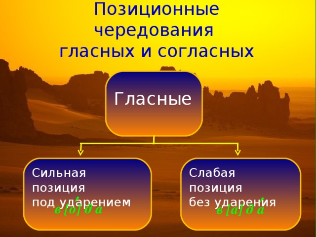 Проанализируйте позиционные чередования