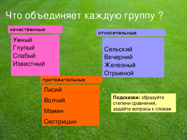 Что объединяет каждую группу ? качественные относительные Умный Глупый Слабый Известный Сельский Вечерний Железный Отрывной притяжательные Лисий Волчий Мамин Сестрицын Подсказки: образуйте степени сравнения, задайте вопросы к словам 