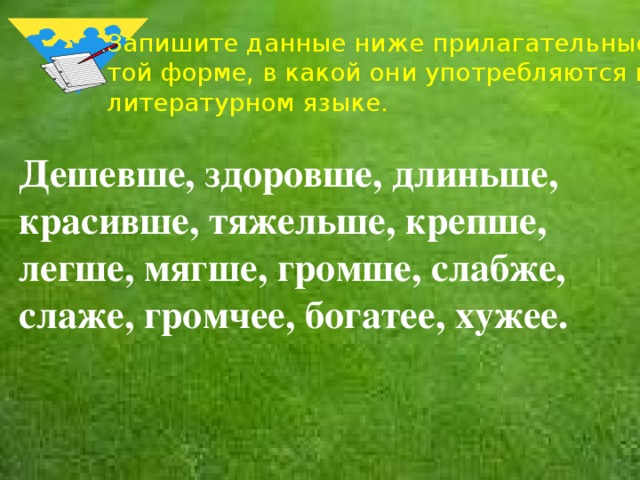 Запишите данные ниже прилагательные в той форме, в какой они употребляются в литературном языке. Дешевше, здоровше, длиньше, красивше, тяжельше, крепше, легше, мягше, громше, слабже, слаже, громчее, богатее, хужее. 