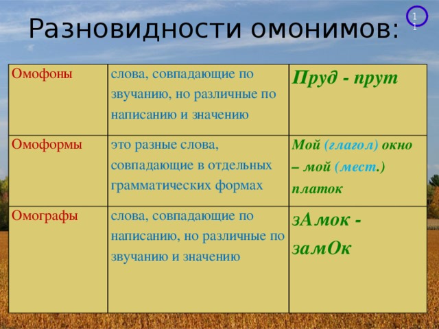 Омографы презентация 1 класс