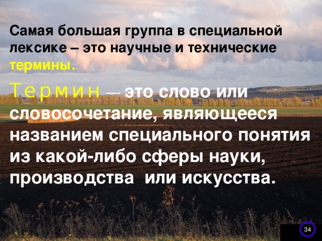 Самая большая группа в специальной лексике – это научные и технические термины.   Термин  — это слово или словосочетание, являющееся названием специального понятия из какой-либо сферы науки, производства или искусства.   