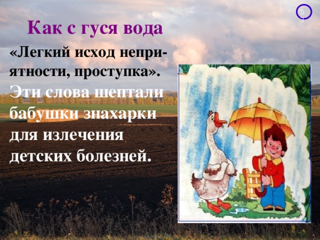 Как с гуся вода. Как с гуся вода заговор. Молитва с гуся вода. Шепоток с гуся вода.