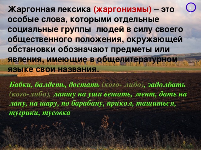 Жаргонная лексика (жаргонизмы) – это особые слова, которыми отдельные социальные группы людей в силу своего общественного положения, окружающей обстановки обозначают предметы или явления, имеющие в общелитературном языке свои названия. Бабки, балдеть, достать   (кого- либо) , задолбать (кого-либо),  лапшу на уши вешать, мент, дать на лапу, на шару, по барабану, прикол, тащиться, тугрики, тусовка 