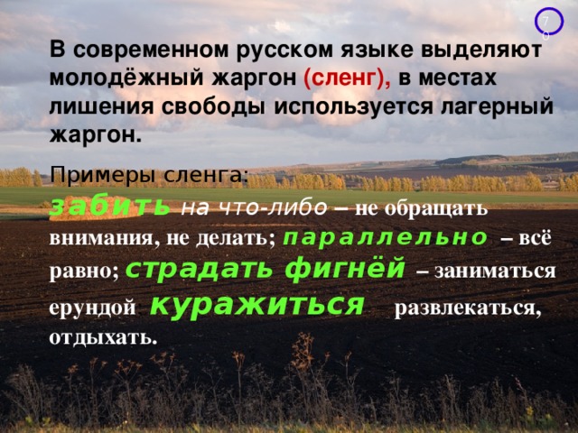 В современном русском языке выделяют молодёжный жаргон (сленг), в местах лишения свободы используется лагерный жаргон.    Примеры сленга:  забить  на что-либо  – не обращать внимания, не делать;  параллельно  – всё равно; страдать фигнёй  – заниматься ерундой ;  куражиться  – развлекаться, отдыхать.   