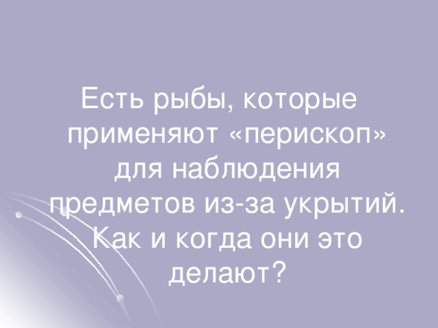 Есть рыбы, которые применяют «перископ» для наблюдения предметов из-за укрытий. Как и когда они это делают? 