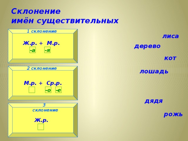 Склонение  имён существительных 1 склонение 1 склонение лиса Ж.р. + М.р.  дерево -а -я кот 2 склонение лошадь 2 склонение М.р. + Ср.р.  -о -е   дядя  3 склонение 3 склонение рожь Ж.р.   