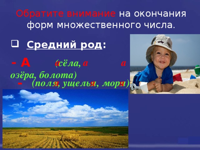 Обратите внимание  на окончания форм множественного числа.  Средний род :                                (сёла, озёра, болота)                                                                           - А  а   а     а -Я (поля, ущелья, моря)   я  я   я 