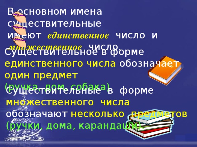 В основном имена существительные имеют  единственное   число и множественное   число. Существительное в форме единственного числа обозначает один предмет (ручка, дом, собака). Существительные в форме множественного числа обозначают несколько предметов (ручки, дома, карандаши). 