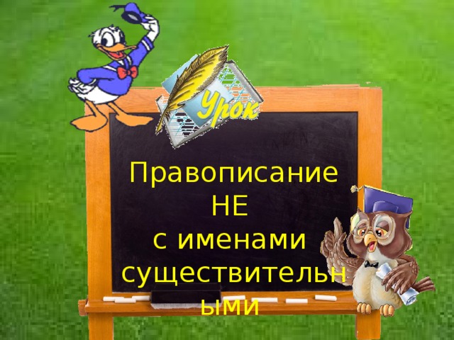 Урок «Качественные прилагательные, значение, употребление» Правописание НЕ с именами существительными 