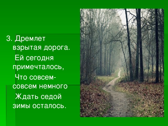 3. Дремлет взрытая дорога.  Ей сегодня примечталось,  Что совсем-совсем немного  Ждать седой зимы осталось. 