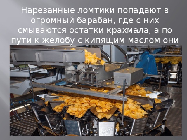 Нарезанные ломтики попадают в огромный барабан, где с них смываются остатки крахмала, а по пути к желобу с кипящим маслом они сушатся «феном» 
