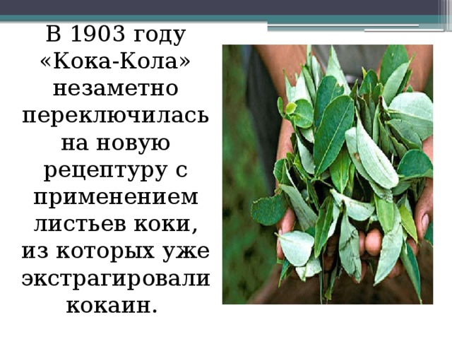 В 1903 году «Кока-Кола» незаметно переключилась на новую рецептуру с применением листьев коки, из которых уже экстрагировали кокаин.  