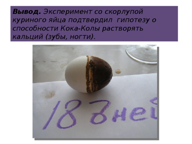 Вывод. Эксперимент со скорлупой куриного яйца подтвердил гипотезу о способности Кока-Колы растворять кальций (зубы, ногти).  