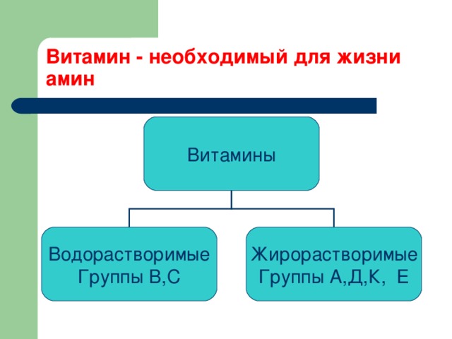 Витамин - необходимый для жизни амин Витамины Водорастворимые Группы В,С Жирорастворимые Группы А,Д,К, Е 