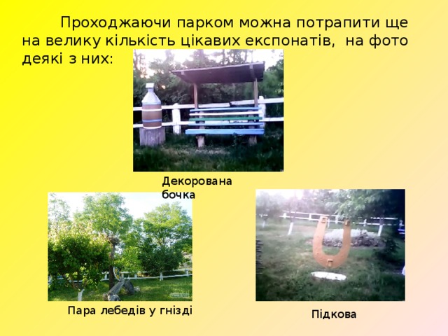  Проходжаючи парком можна потрапити ще на велику кількість цікавих експонатів, на фото деякі з них: Декорована бочка Пара лебедів у гнізді Підкова 