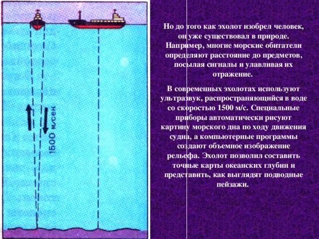 Но до того как эхолот изобрел человек, он уже существовал в природе. Например, многие морские обитатели определяют расстояние до предметов, посылая сигналы и улавливая их отражение. В современных эхолотах используют ультразвук, распространяющийся в воде со скоростью 1500 м/с. Специальные приборы автоматически рисуют картину морского дна по ходу движения судна, а компьютерные программы создают объемное изображение рельефа. Эхолот позволил составить точные карты океанских глубин и представить, как выглядят подводные пейзажи.  