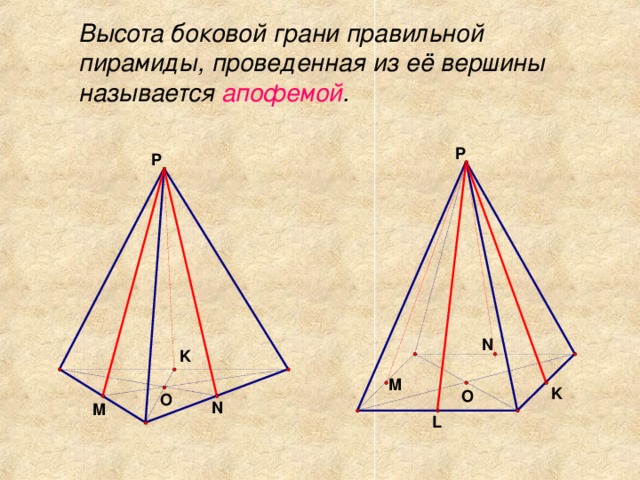  Высота боковой грани правильной пирамиды, проведенная из её вершины называется апофемой . 