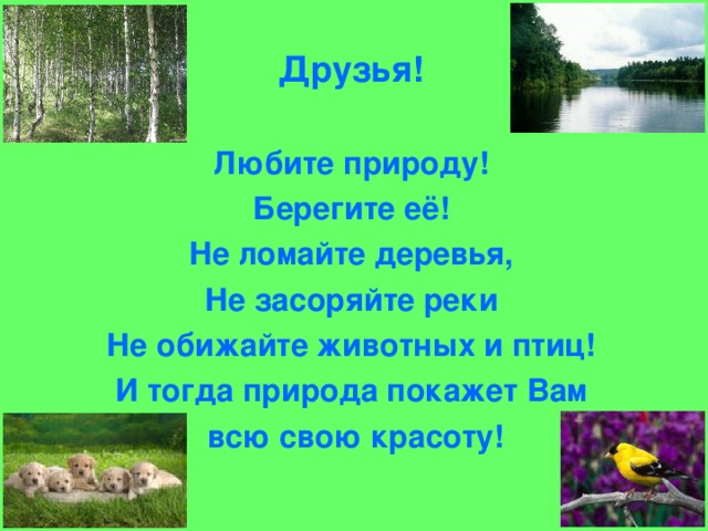 Друзья!  Любите природу! Берегите её! Не ломайте деревья, Не засоряйте реки Не обижайте животных и птиц! И тогда природа покажет Вам  всю свою красоту!  